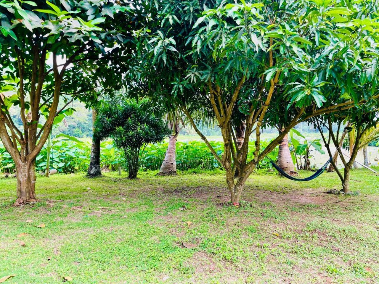 Secret Garden Mirissaヴィラ エクステリア 写真